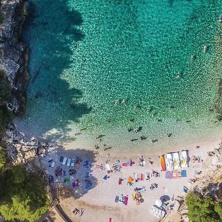 Lovely In With Wifi *